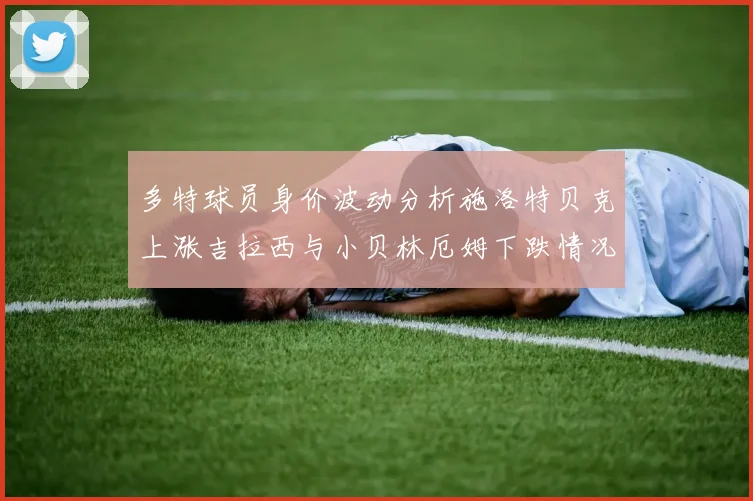 多特球员身价波动分析施洛特贝克上涨吉拉西与小贝林厄姆下跌情况解读