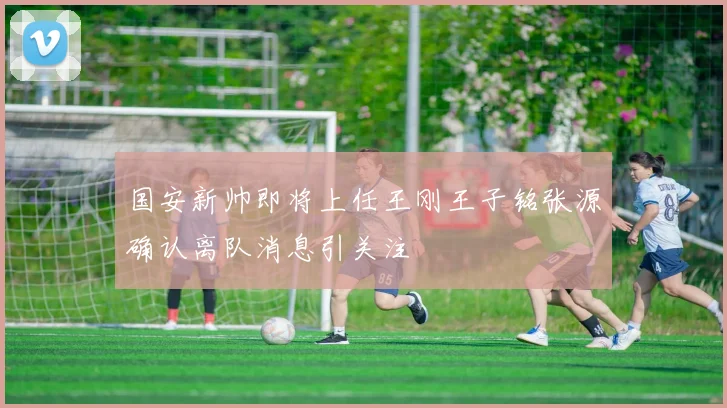 国安新帅即将上任王刚王子铭张源确认离队消息引关注